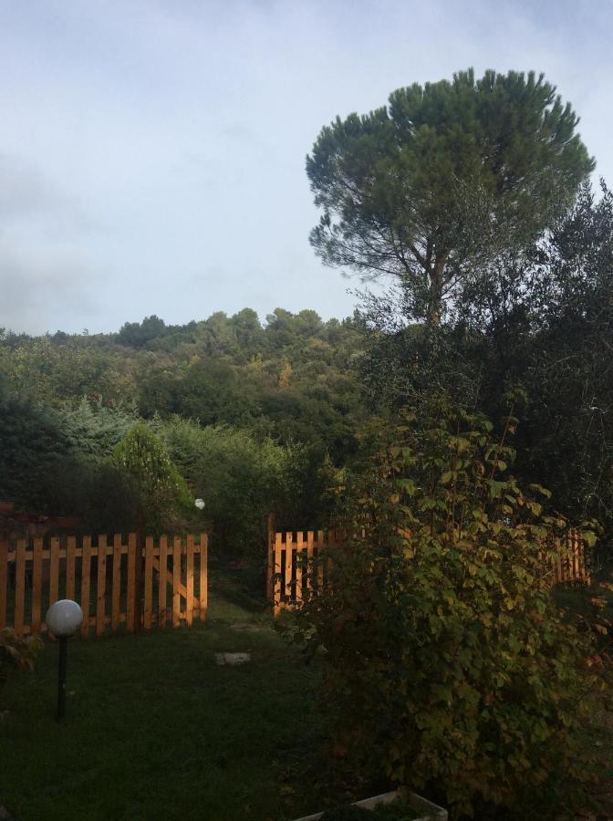 B&B Il Frassino Perugia Luaran gambar