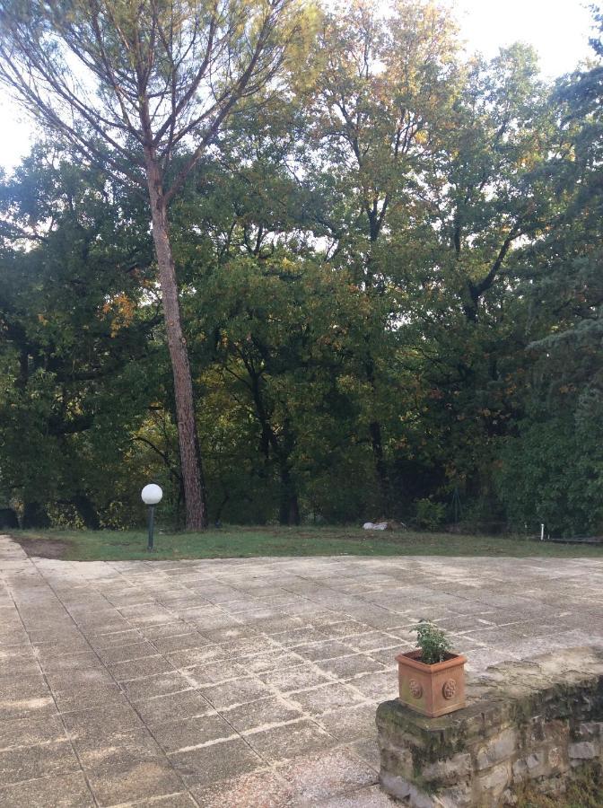 B&B Il Frassino Perugia Luaran gambar
