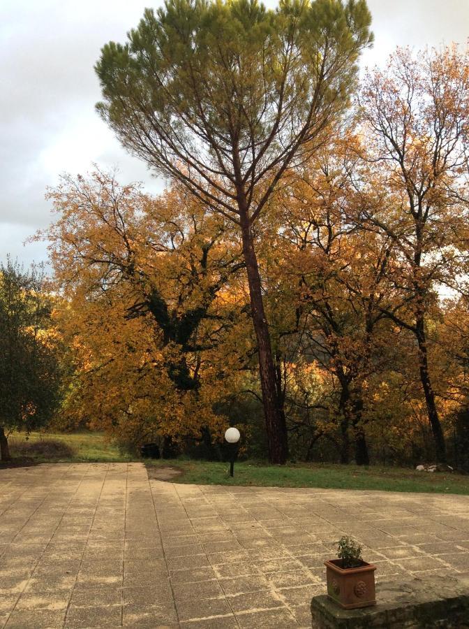 B&B Il Frassino Perugia Luaran gambar