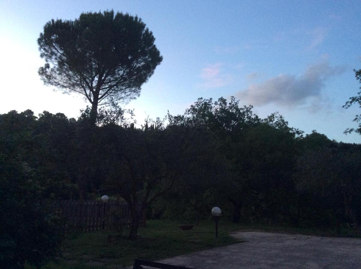 B&B Il Frassino Perugia Luaran gambar